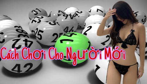 Học cách soi cầu và phân tích dữ liệu