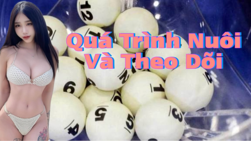 Quan sát nhịp cầu từng ngày