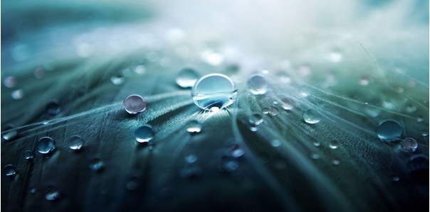 Kỹ thuật chụp ảnh đẹp bằng máy ảnh mirrorless