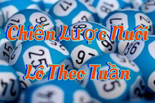 Xác định dàn lô và phân nhóm