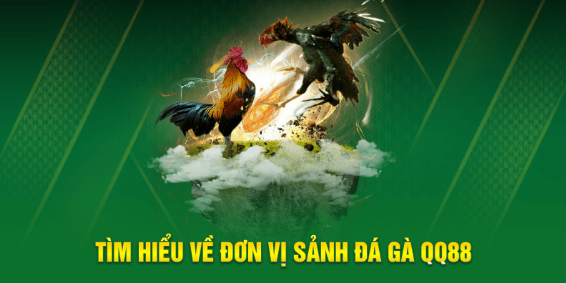 Người mới cần gì khi bắt đầu theo dõi trận đấu trực tuyến