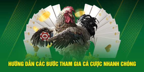 Trải nghiệm hình ảnh và thao tác quyết định sự thoải mái